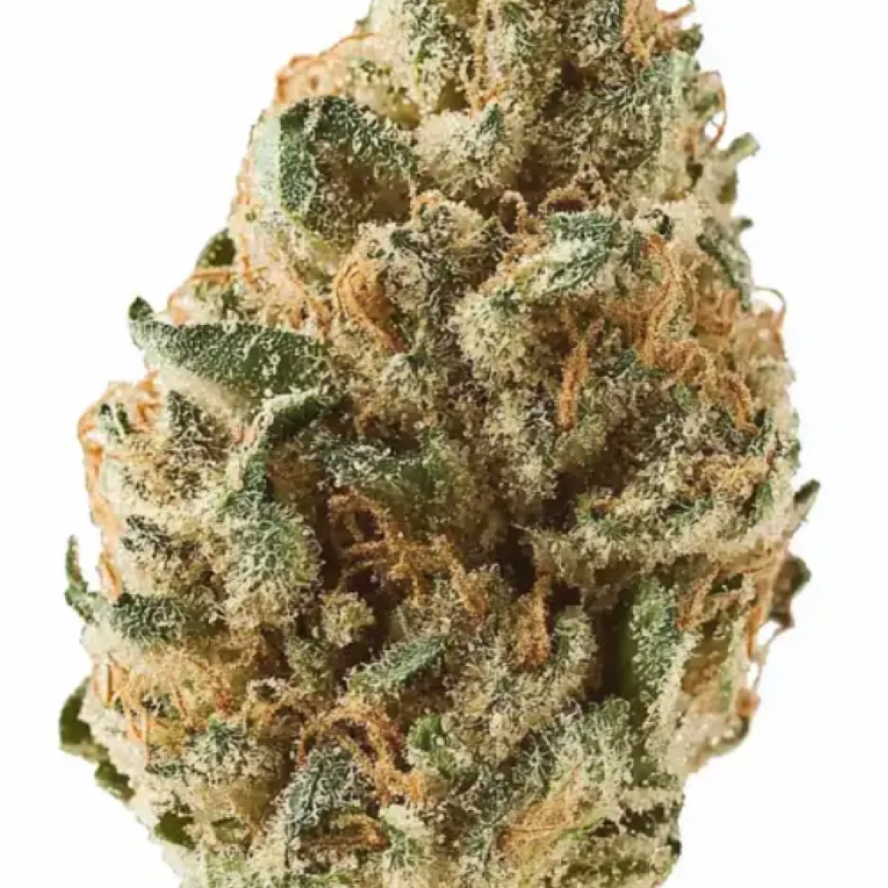 Семена конопли Tangie Feminized от Marley Seedbank